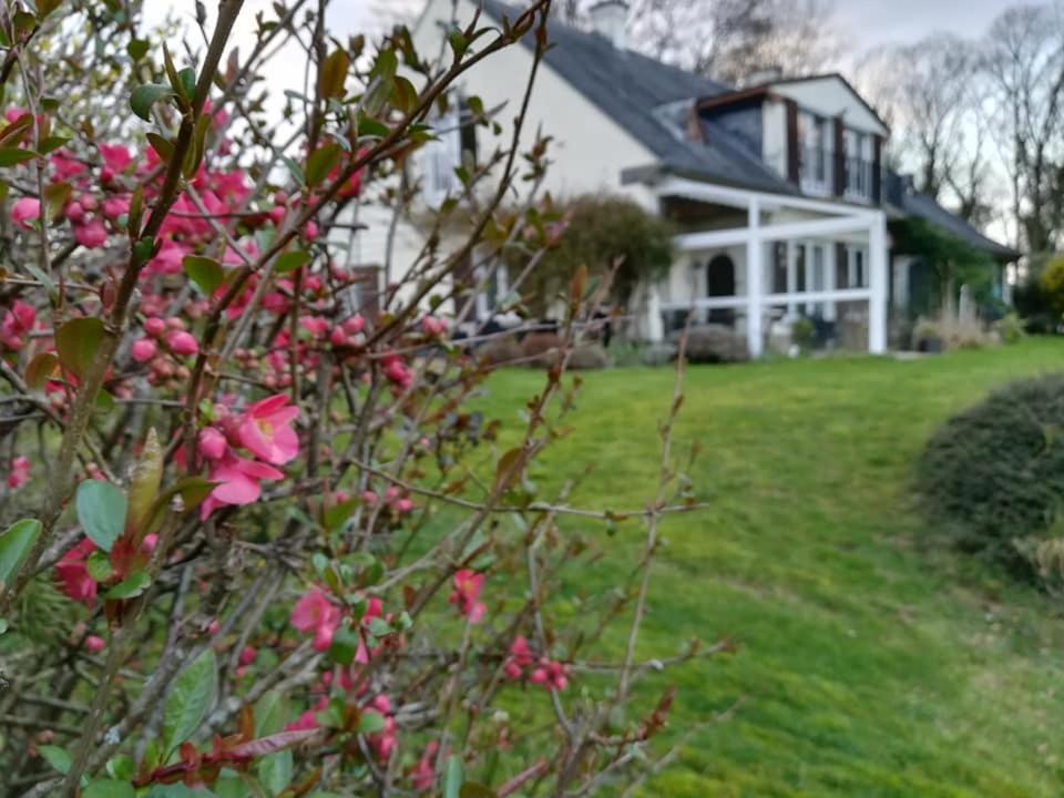 Bed and breakfast La Belle Vue