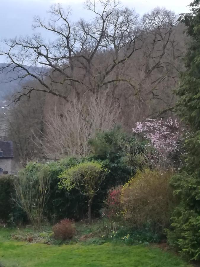La Belle Vue Bed and breakfast Dinant